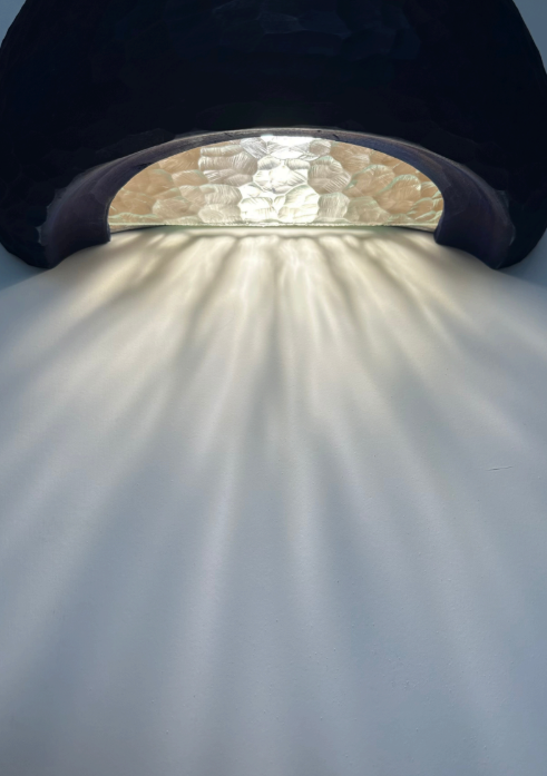 Photo luminaire Scyphozoa