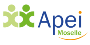 logo APEI-Moselle-ESAT-Les-Genets